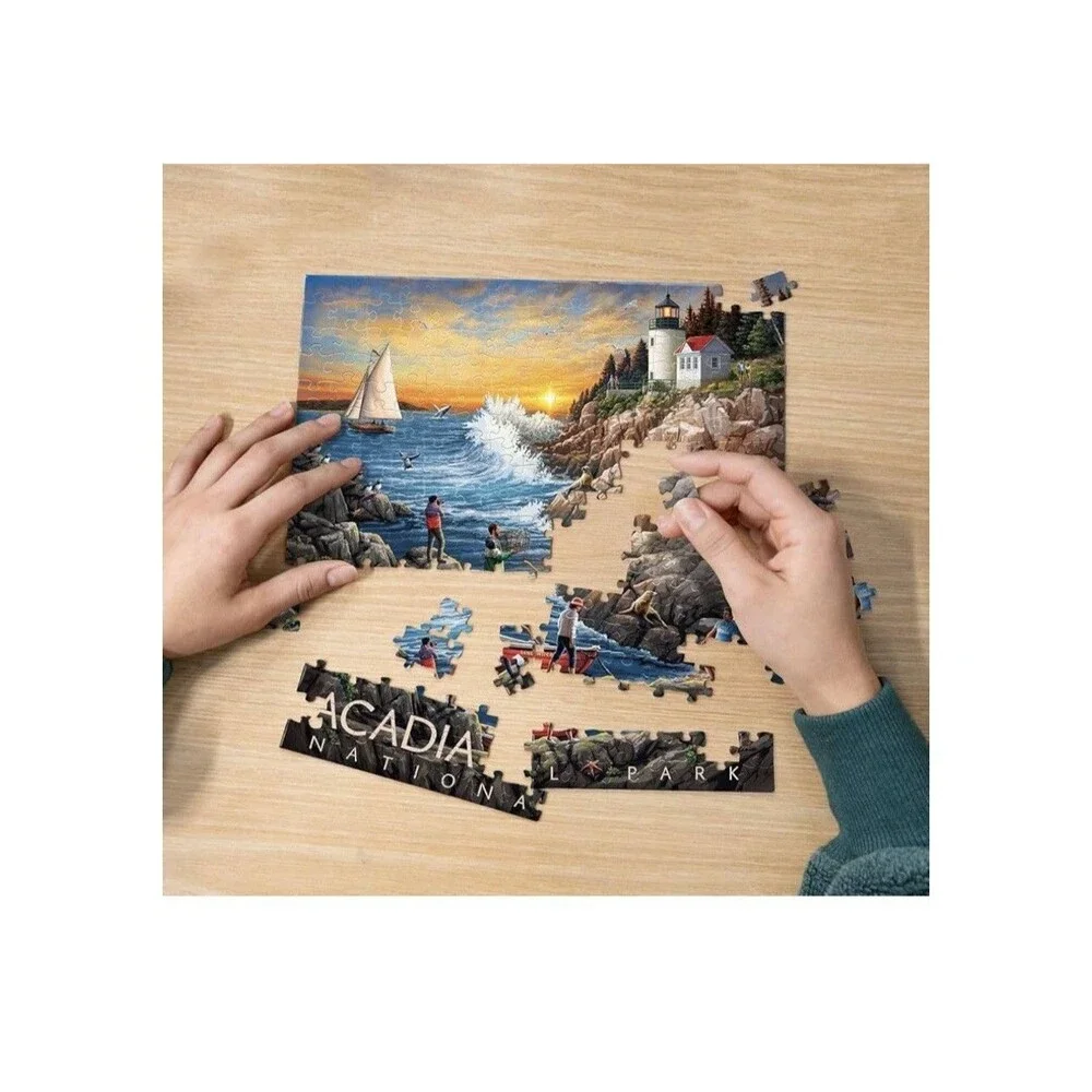 Acadia National Park 210 Piece Jigsaw Puzzle Boardwalk New